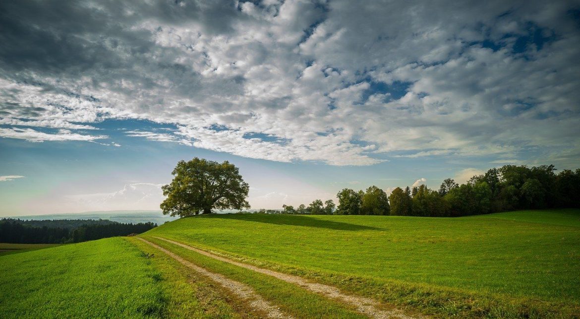 landscape-3688043_1280