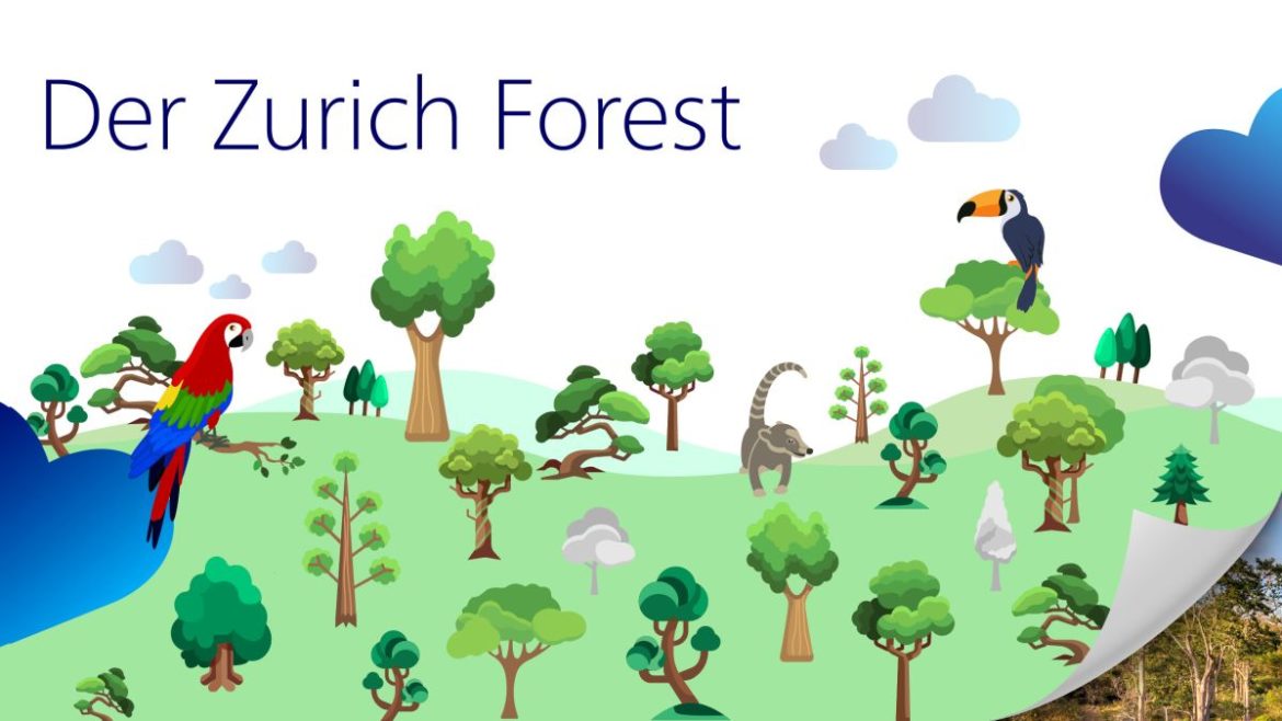 Eine Million Bäume für den Klimaschutz: Zurich Forest